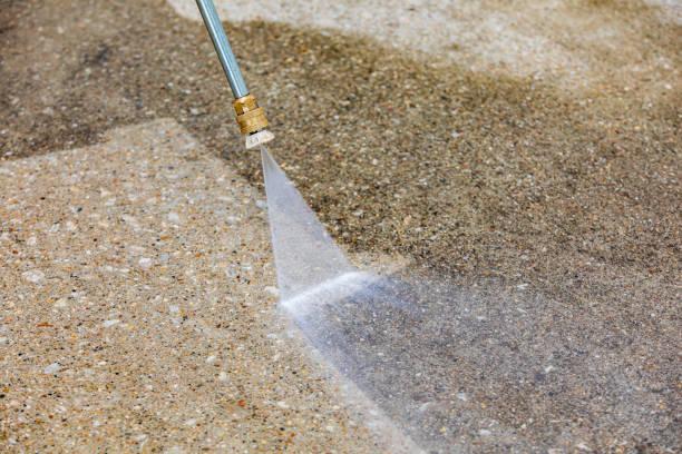 Best Pre-Holiday Cleaning  in Marysville, MI