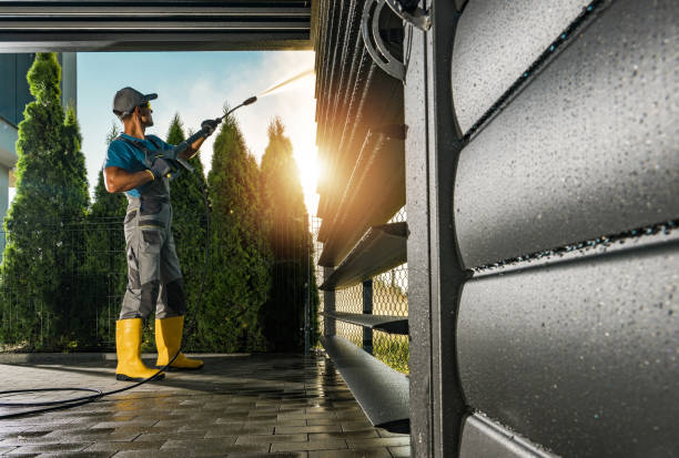 Best Solar Panel Cleaning  in Marysville, MI