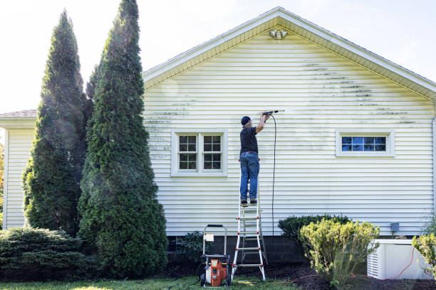Best Animal Enclosure Cleaning  in Marysville, MI